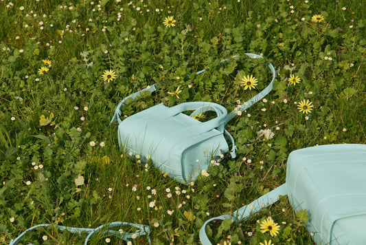 Berkley leather mini crossbody shopper