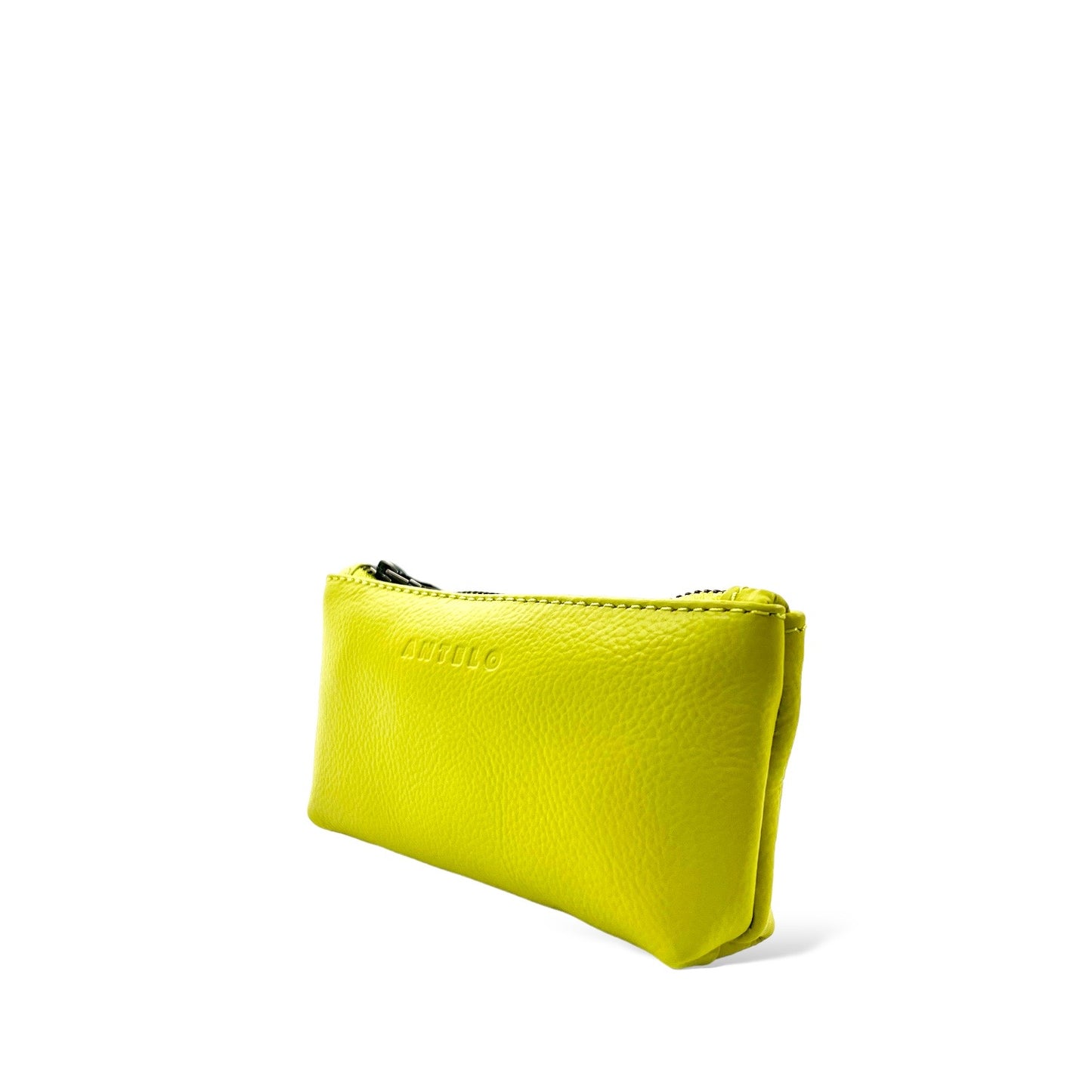 Sofia leather zip pouch