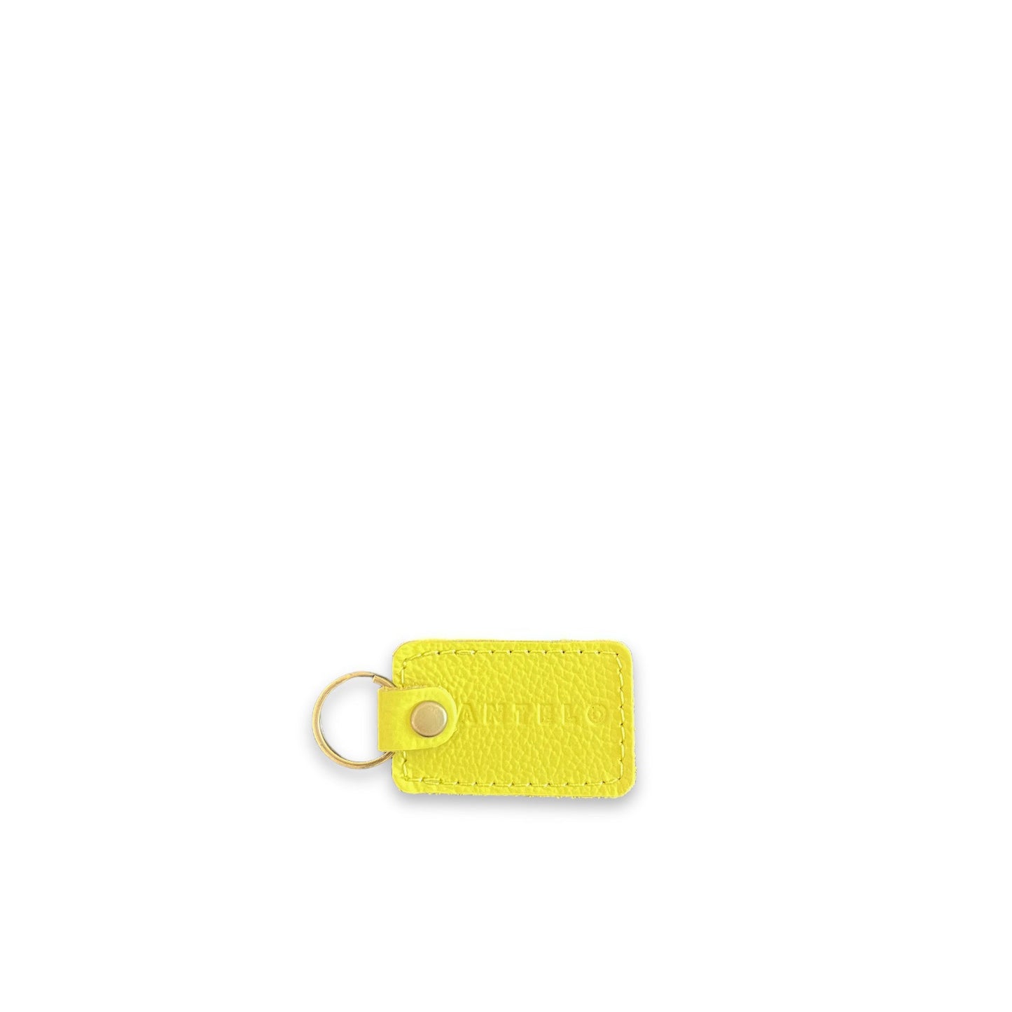Kenzi Small Leather keyring