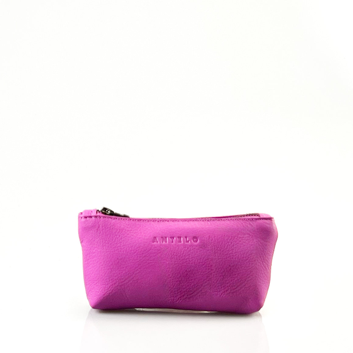 Sofia leather zip pouch