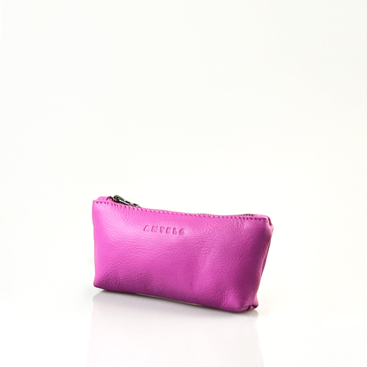 Sofia leather zip pouch