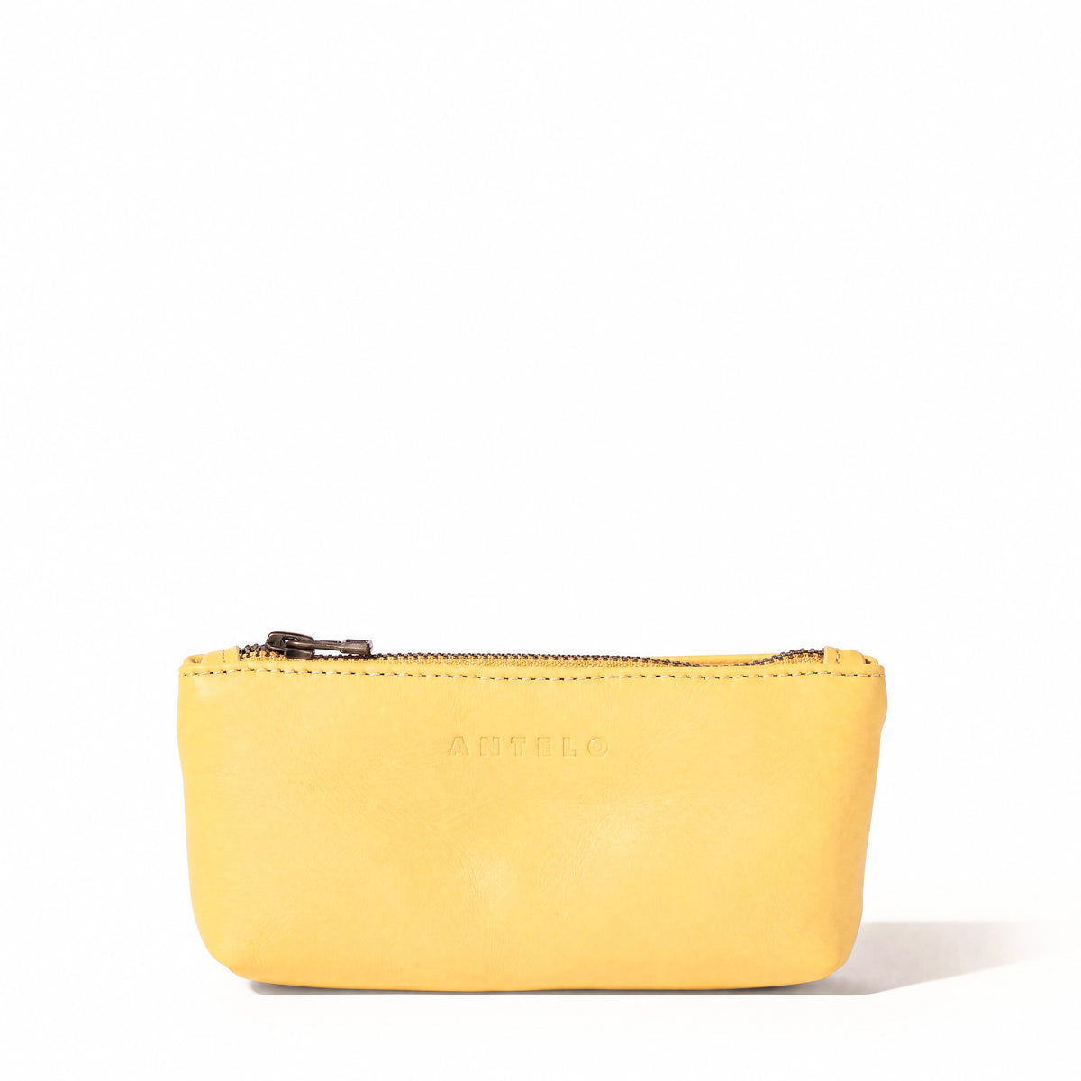 Sofia leather zip pouch