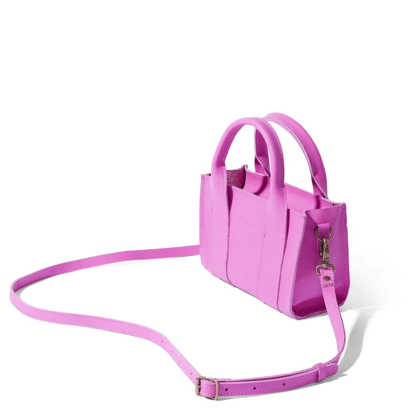 Berkley leather mini crossbody shopper