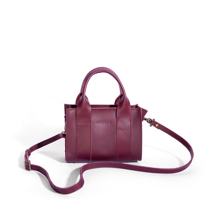 Berkley leather mini crossbody shopper