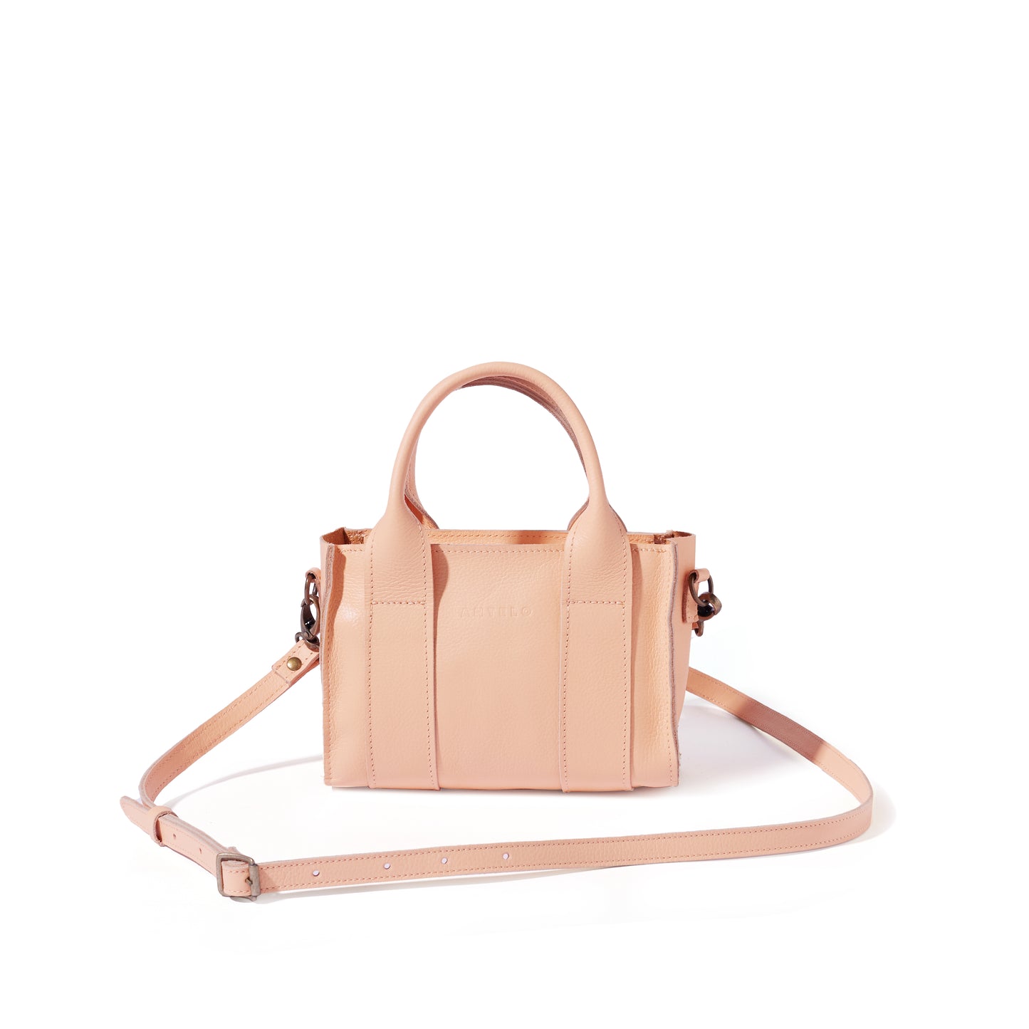 Berkley leather mini crossbody shopper