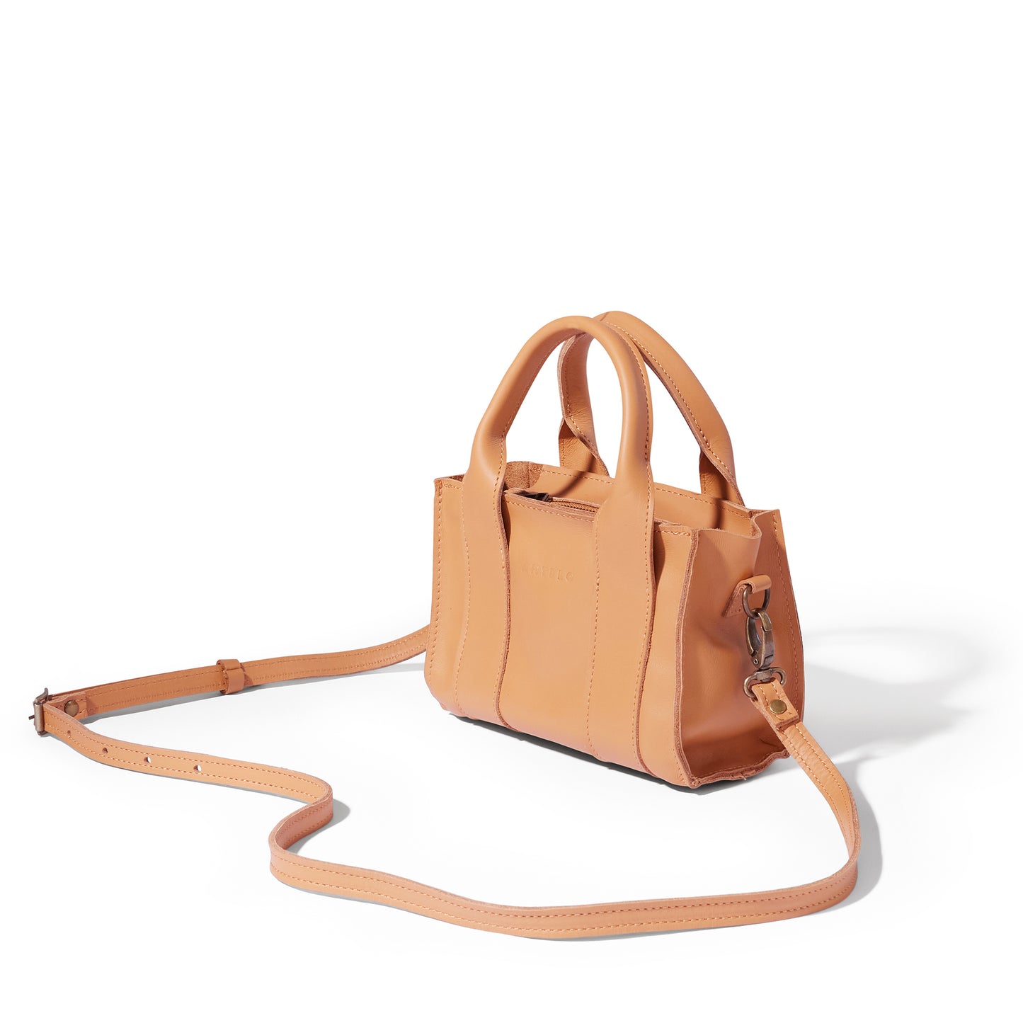 Berkley leather mini crossbody shopper