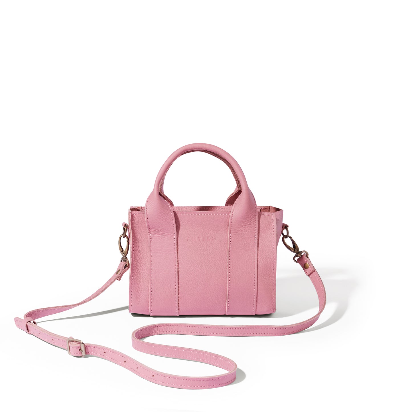 Berkley leather mini crossbody shopper