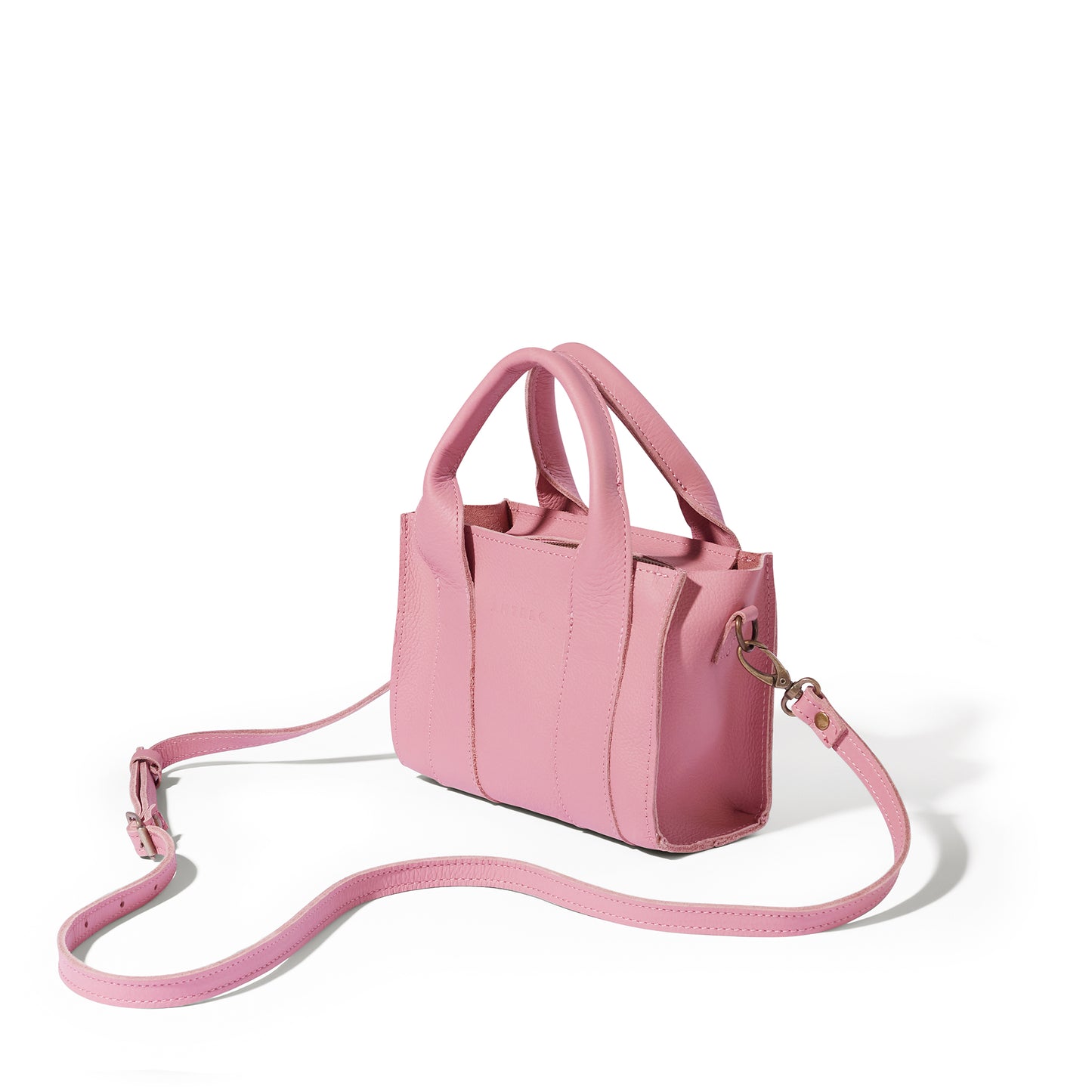 Berkley leather mini crossbody shopper