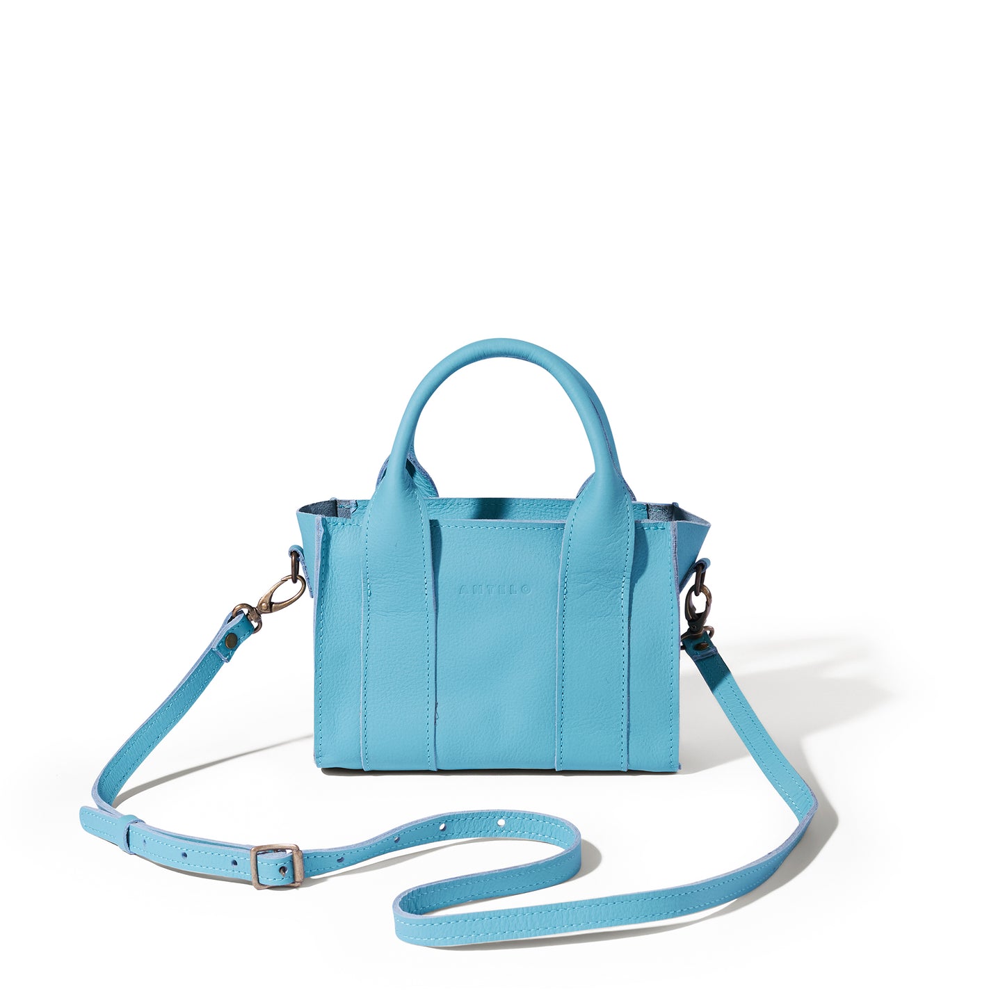 Berkley leather mini crossbody shopper