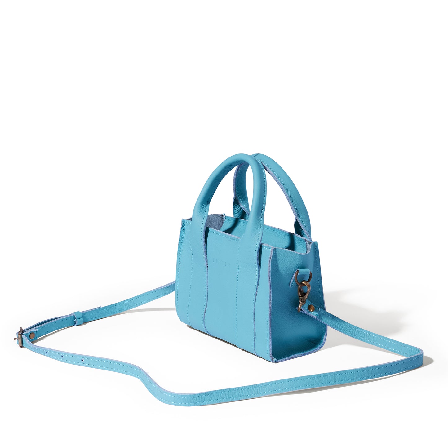 Berkley leather mini crossbody shopper