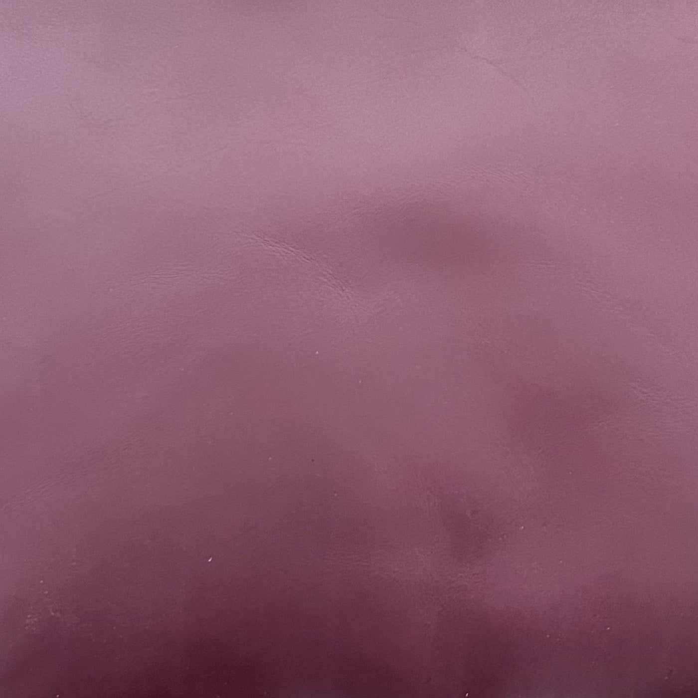 Billie Leather Small Trifold Wallet - MINOR FLAW
