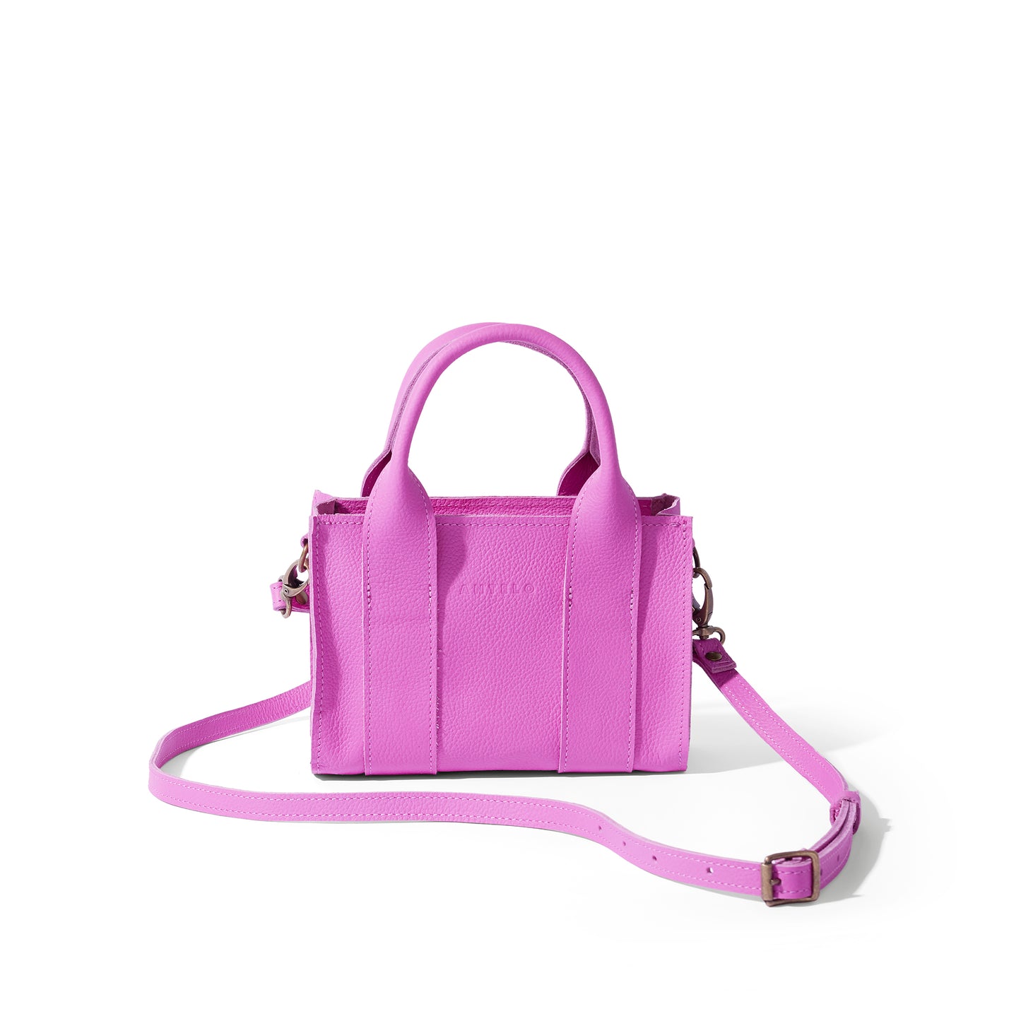 Berkley leather mini crossbody shopper